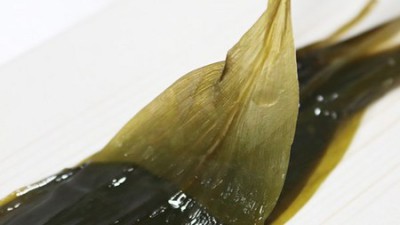 놓치면 후회! 500g 명이나물 솔직 후기 & 꿀팁😋