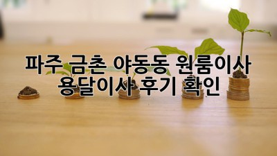 파주 금촌 야동동 원룸이사? 용달이사 후기 확인!