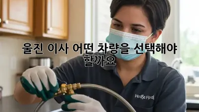 울진 이사, 어떤 차량을 선택해야 할까요?